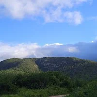Fábio vasconcelos